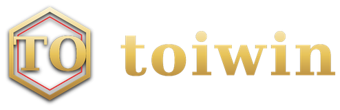 toiwin logo